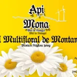 346646575_973612433656234_3607026127380970553_n